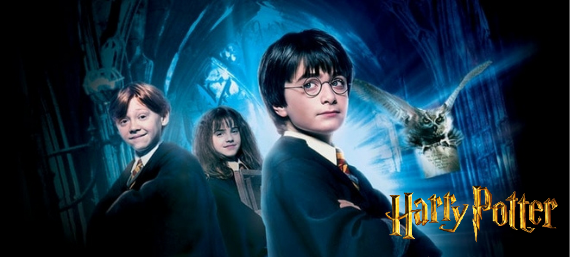 Harry Potter a l-ecole des sorciers - Image 1.png
